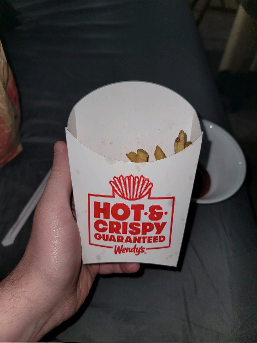 Jayjayrae30's tweet photo. Thanks @Wendys for the "large" fry https://t.co/VA5m1x9IGU
