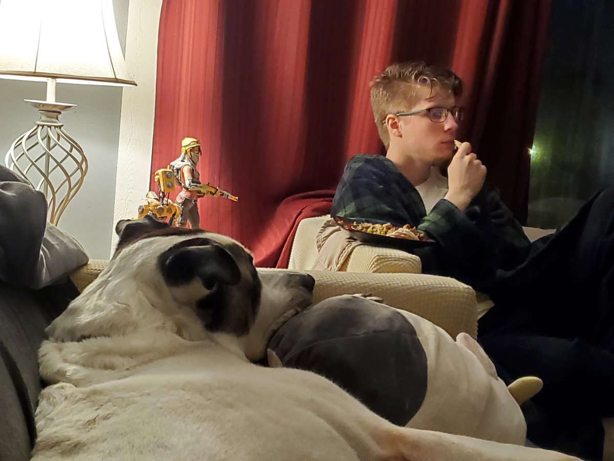 Is... is that turkey?

#dogsoftwitter