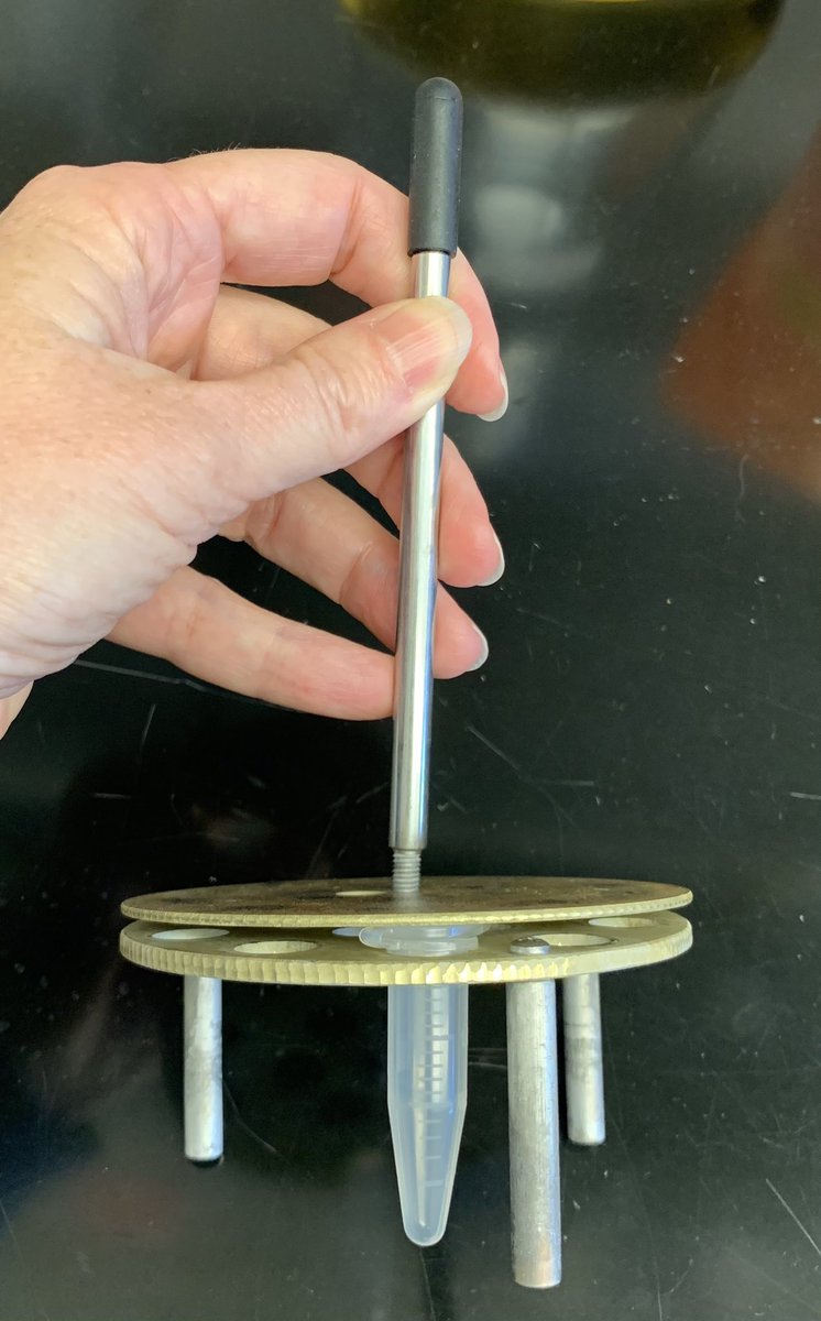 Dr. Kim Walker tweet media