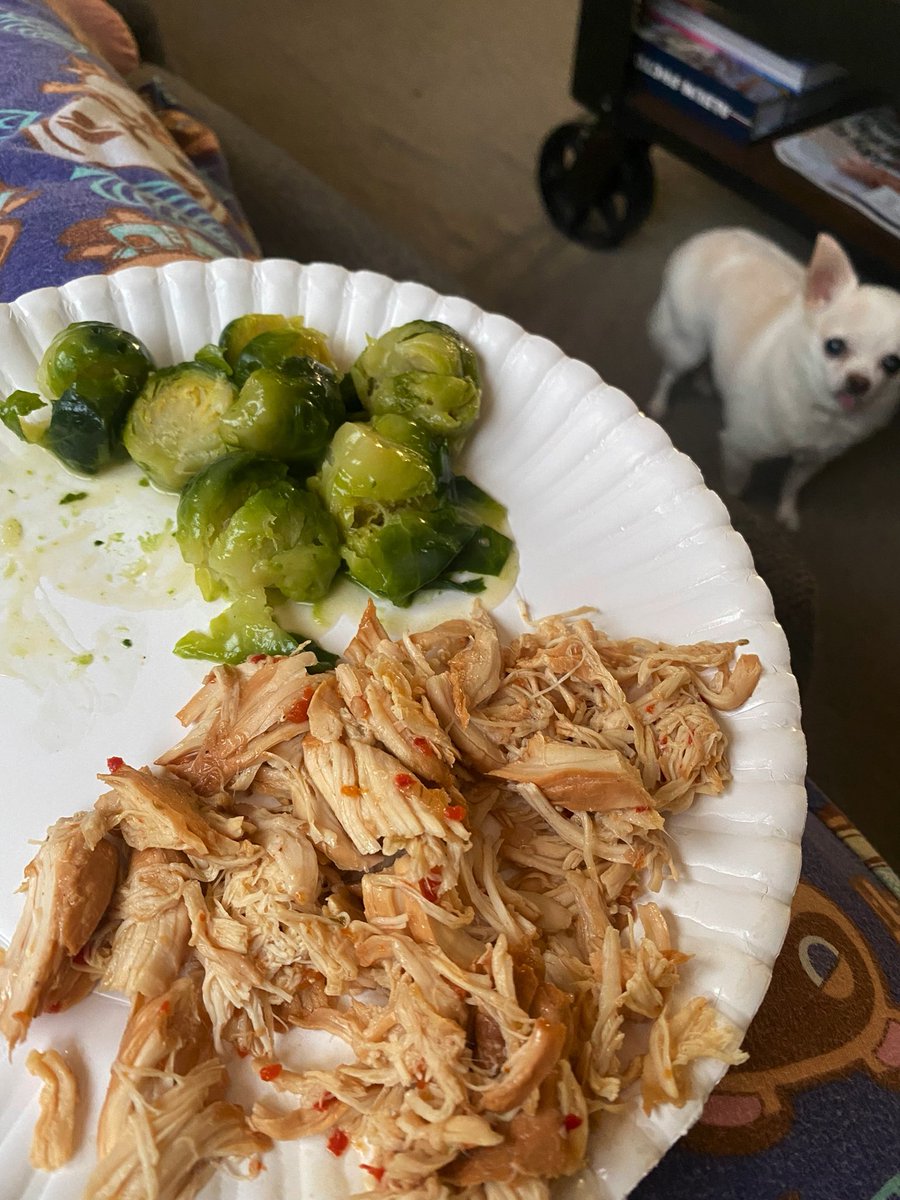 Kathryn29273922's tweet photo. Gotta love a man that can cook 🙂 thank you to my beloved husband for filling my belly and my heart. I love you so much! You take such good care of me always! Delilah too! #HusbandsThatCook #Yummy #MoocherPoocher #BestHusbandEver https://t.co/JbGTLoD3g9