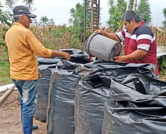 Fercho_Cruz90's tweet photo. BUENAS NOTICIAS | Brindamos asistencia técnica en elaboración de ensilaje con residuos de maíz; en beneficio de los ganaderos del sector "El Limón", cantón #Quinindé. #JuntosLoLogramos https://t.co/hQE5pM6jSL