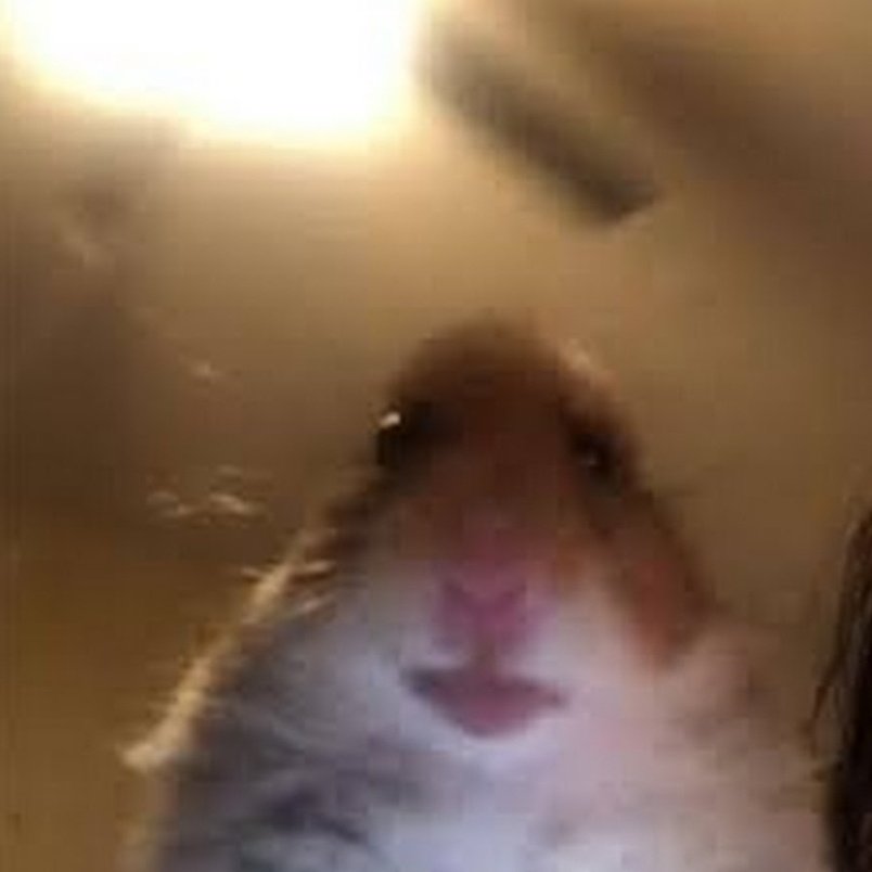 raphodono's tweet image. #NewProfilePic