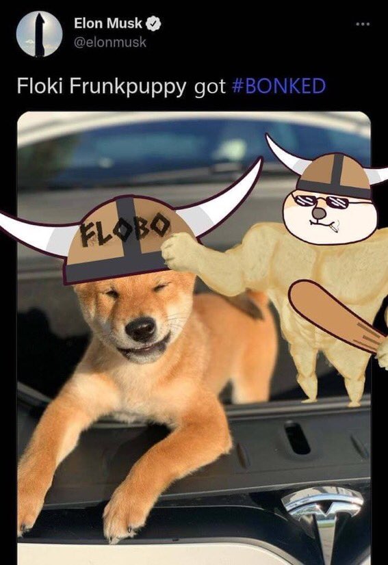 BurpFX's tweet photo. @MattWallace888 You’re doing it all wrong Matt 😆. You gotta follow the whales… they are loading up on FlokiBonk. Everyone knows DogeBonk 1000x this month alone and we’re on pace to reach that too. Still early, so don’t procrastinate. @FLOKO_BONKO #FLOBO https://t.co/gsIoV2uMwf