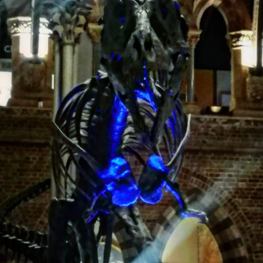 school_of_arch's tweet photo. Night at the museum. What a privilege to have our @oxfordflame reception amongst these magnificent creatures in @morethanadodo. We don't study #dinosaurs but we my lord, just look at them! https://t.co/Q1I3RIypOy