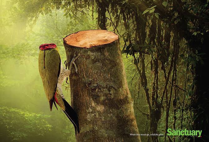 gallinafiedler1's tweet photo. Magical #Insects #Animals &amp; #Fish &amp; Their So Beautiful BABIES/YOUTH😘 That call these beautiful #Forest #Jungles #Trees #Plants #Flowers #Meadows #Land &amp; #UnderBrush not only HOME but FAMILY as well,   @GobQuintanaRoo @LifeSciencesLaw @DetroitMercyLaw @HKVetSchool @wvgov Cont https://t.co/FNc0hAX2Eb