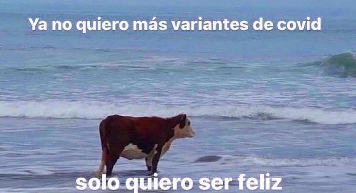 SenoraCatolica's tweet photo. https://t.co/jrGL5Rj3S9
