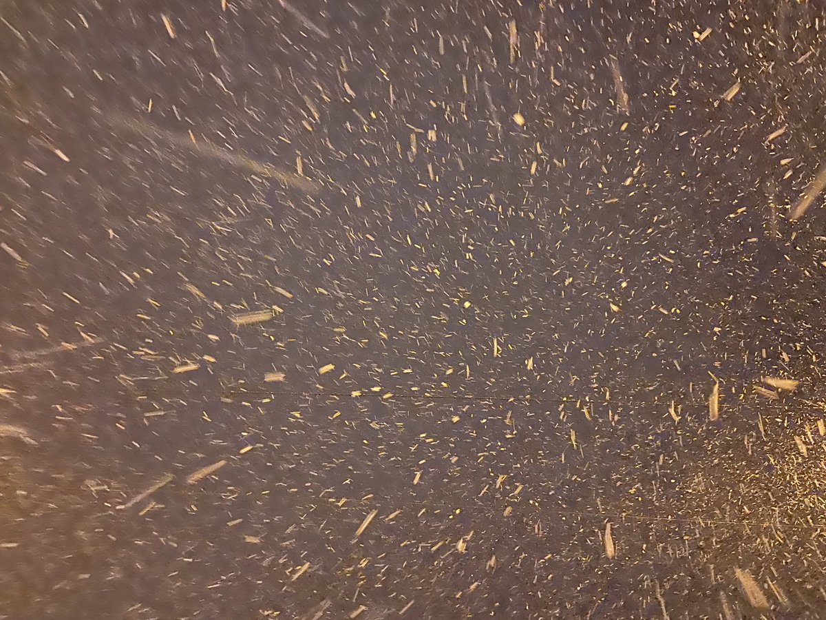 Roger Meier tweet media