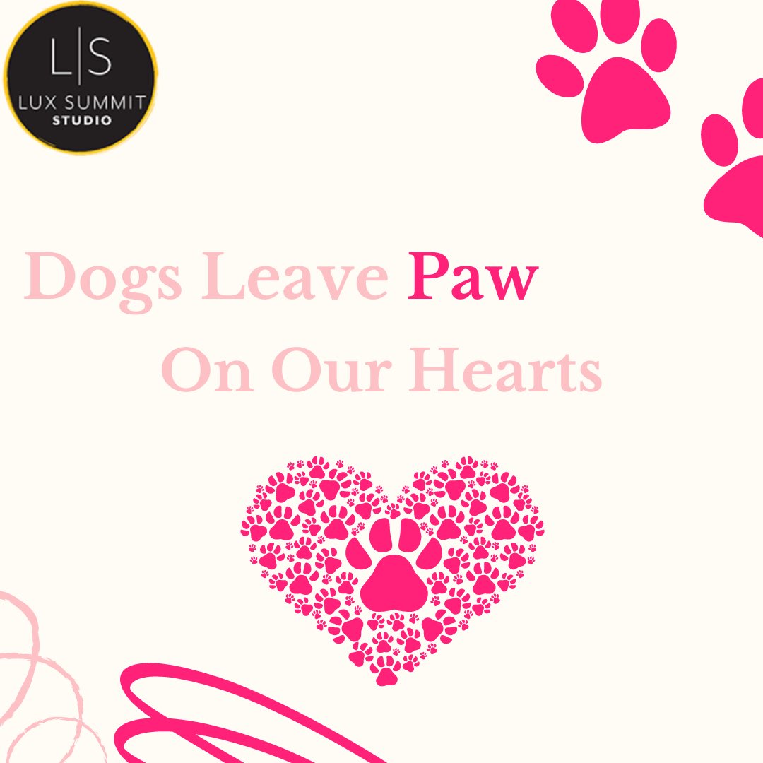 photo_kidd's tweet photo. Dogs leave paw 🐾 prints wherever they go, especially on our hearts! 

We love ❤ dogs 🐕 so much because of how truly special they are. 

Say hello to the pups 🐩 in your life and let them know how much you love ❤ them! 🐶📷
#petphotography #adoptdontshop #puppylove https://t.co/efUDHt8xOT