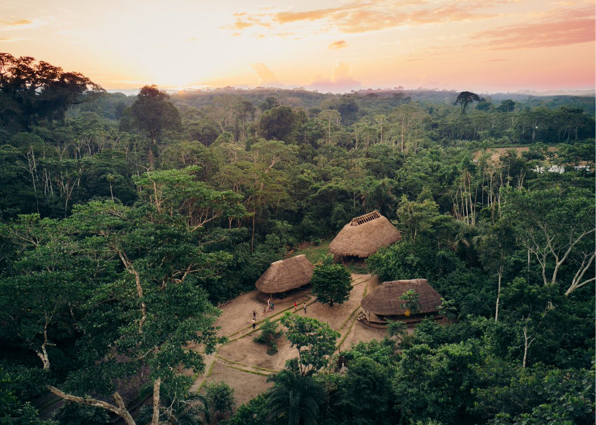 #JaguarDay raises awareness of increasing threats facing #jaguar &amp; critical conservation efforts needed to ensure its survival. 

In rainforest of Ecuador, home gardens &amp; marketplace connectivity means humans &amp; wildlife - including jaguars - can flourish: ow.ly/szdy50GpLfB