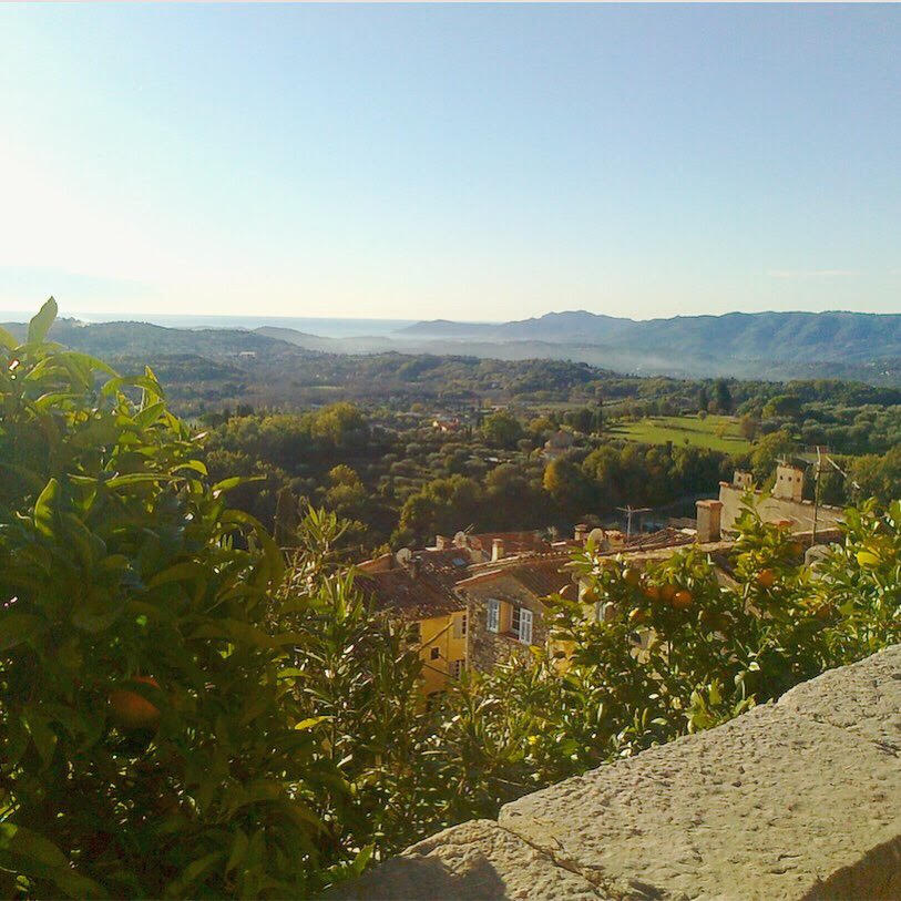 Morgan Buchanan tweet media