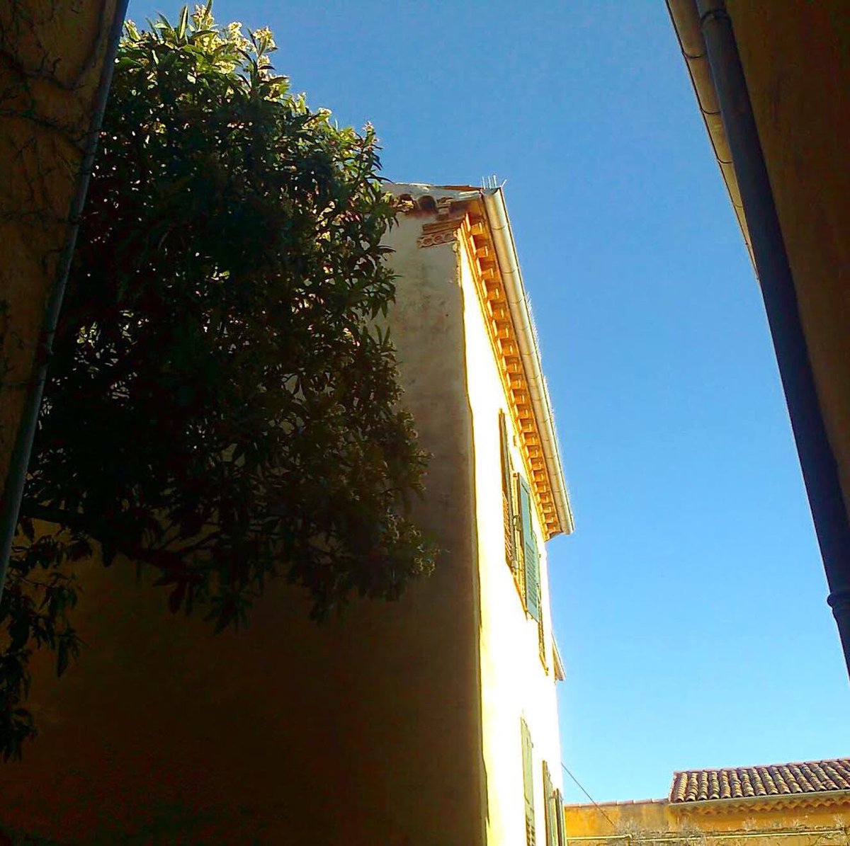 Morgan Buchanan tweet media