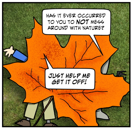 Best tree pun in the comments gets 100 internet points...