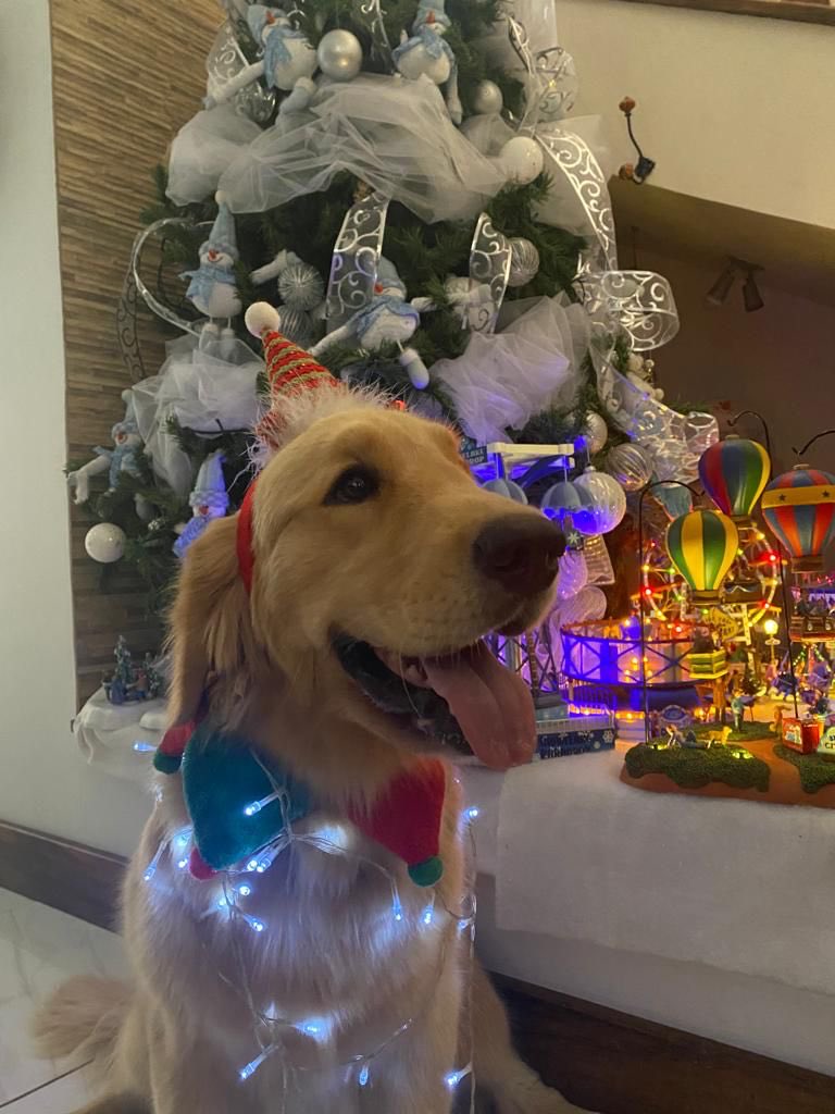 La Navidad
