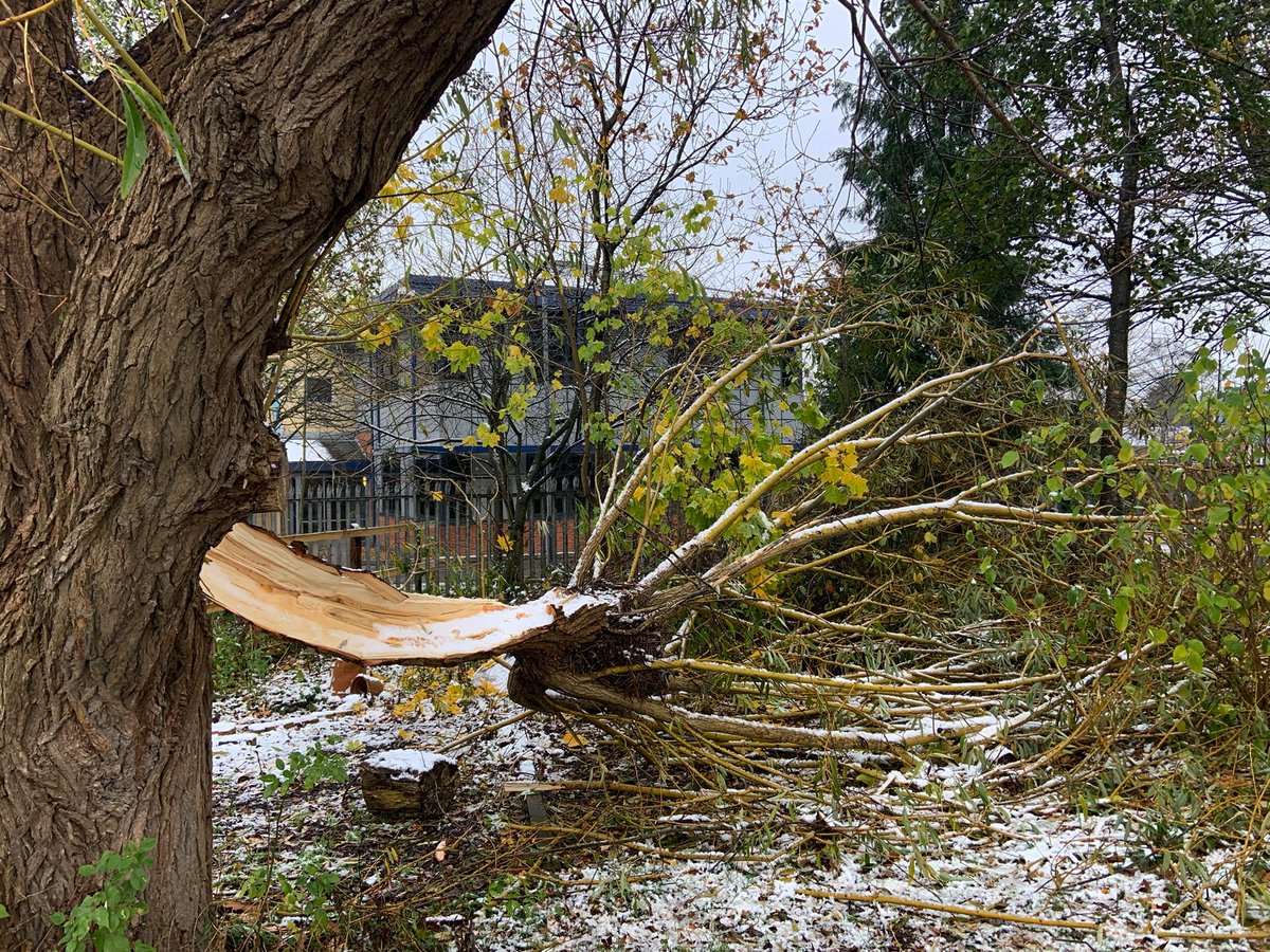 Outdoor Learning at Winsford High Street tweet media