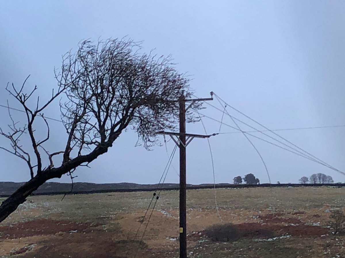 LA_wilkinson's tweet photo. @Northpowergrid one of our properties near Bransdale YO62 7JL has been without power since Friday evening. There is a fallen tree resting on the power lines. See photo. We are not able to contact anyone by phone. Please assist ASAP. https://t.co/Dek9a6ylj3