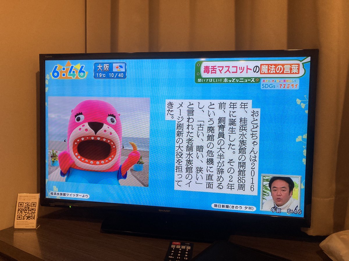 motokikeuchi's tweet photo. 福知山なう
朝日放送で桂浜水族館のことやってました🐟Twitterを通じたPR、おとどちゃんによる攻めたPRが素晴らしい✨
#桂浜水族館
#おとどちゃん https://t.co/ArzsyUV7AW