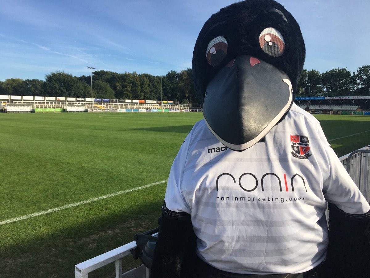 Curtis Moldrich tweet media