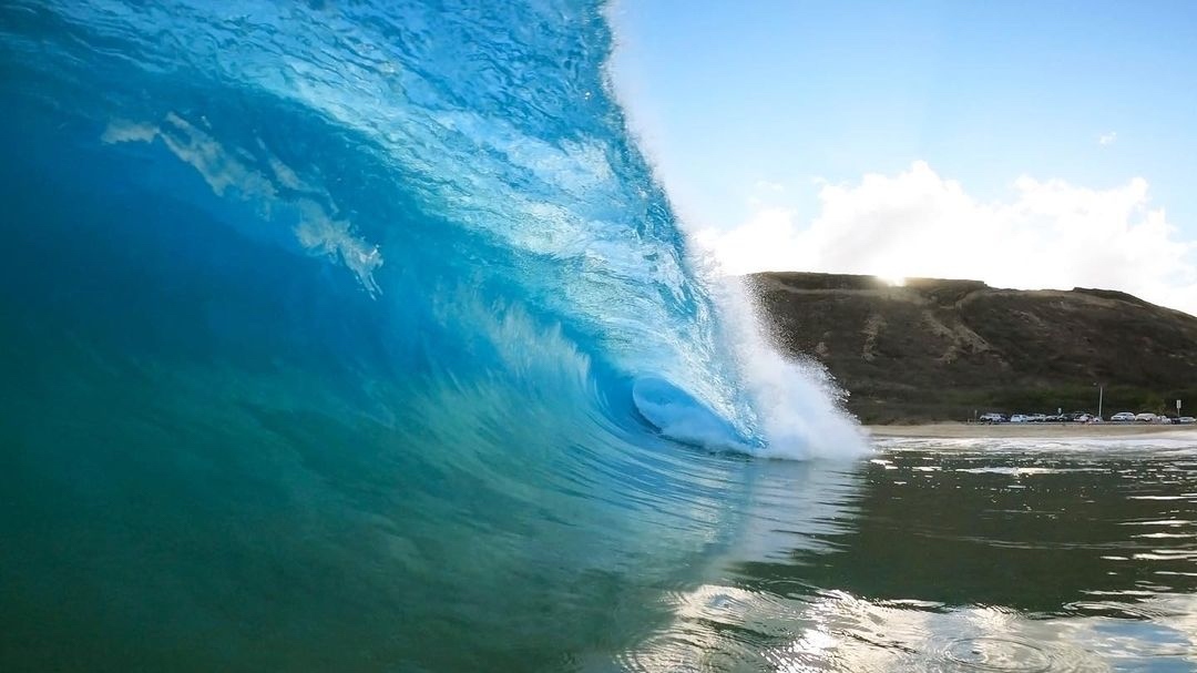 WaikikiShopPlza's tweet photo. Early birds catch the waves and the best deals on #cybermonday
Let us know in the comments if you scored any awesome deals.
π·: IG __benmurray #northshore #honolulu #oahu #oahuhawaii #hawaii #lifealoha #alohaoutdoors #alohahuffpost #γͺγ’γγγ―γ€#γͺγ’γ #γγγ«γ« #γ―γ€γγ https://t.co/pC3W2M0U4F