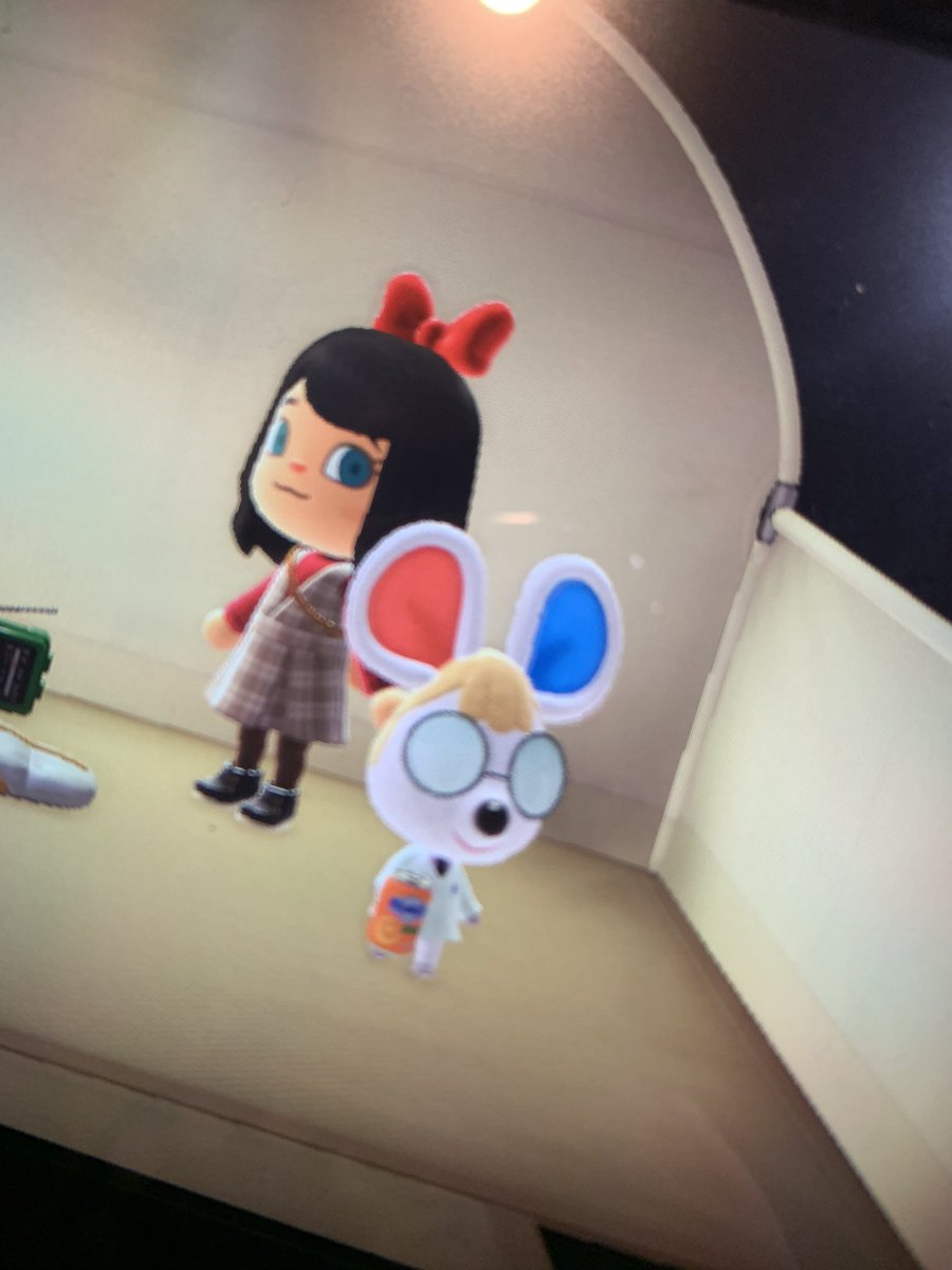Adribearx's tweet photo. New campsite villager, but I just got Judy so I don’t wanna let her go for Petrovic😭 https://t.co/8U5yqaJ1Gw