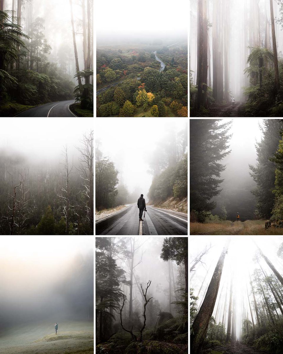 gm ☕️🍃

A little sample of the 15 remaining images from my “Low Cloud” collection on <a href="/opensea/">OpenSea</a>… 

All eyes are greatly appreciated 🙏🏼
opensea.io/collection/low…