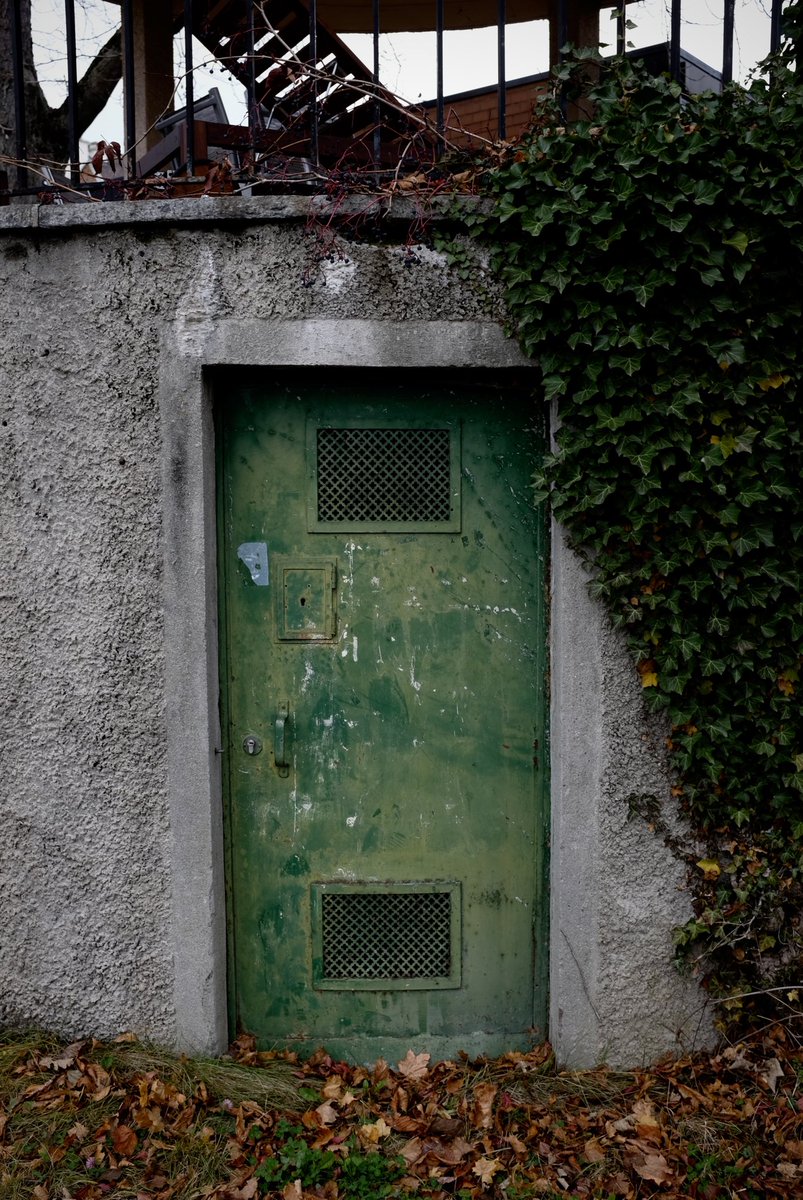 jmarcusg316's tweet photo. @FujifilmX_US Love the greens! #fujifilmx100t https://t.co/vbv9mn12nD