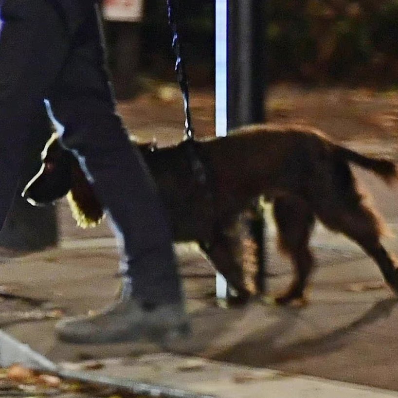 bobbyhiddles's tweet image. 