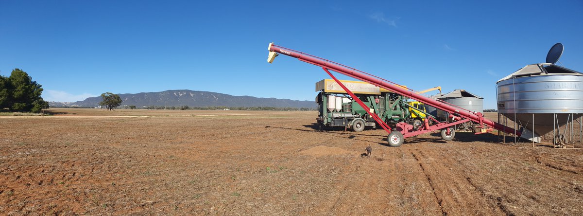 walcoseedau's tweet photo. Great to be working in the Southern Flinders today. Cleaning lentils with a view π
#walcoseed
#seedcleaning #lentils
#Melrose https://t.co/pn2ewqUO1B