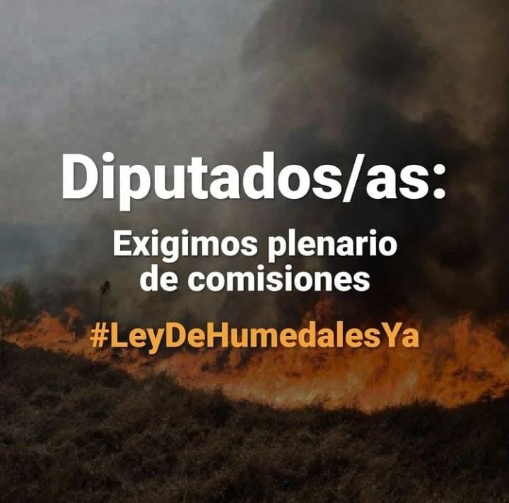 HudsonHumedales's tweet photo. QUIEN SIEMBRA VIENTOS, COSECHA TEMPESTADES.  

Para que el Proyecto de Ley de Humedales no pierda estado parlamentario este año, antes del 10 de diciembre tiene que ser tratado en Plenario de Comisiones, y antes de fin de año tratado en la Cámara de Diputadxs. https://t.co/g3ZHNlDKAM