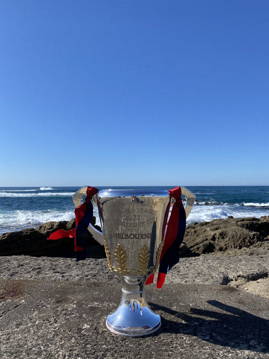 The Demons Premiership Cup 🏆 tweet media