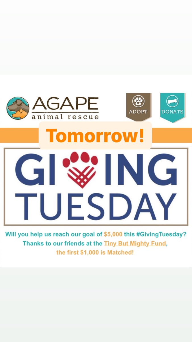 TOMORROW is #givingtuesday! 

👉 Please donate if you can and are able to <a href="/AgapeRescue/">Agape Animal Rescue & Training Center</a> as we are offering a $1000 match for the first donations that come in.