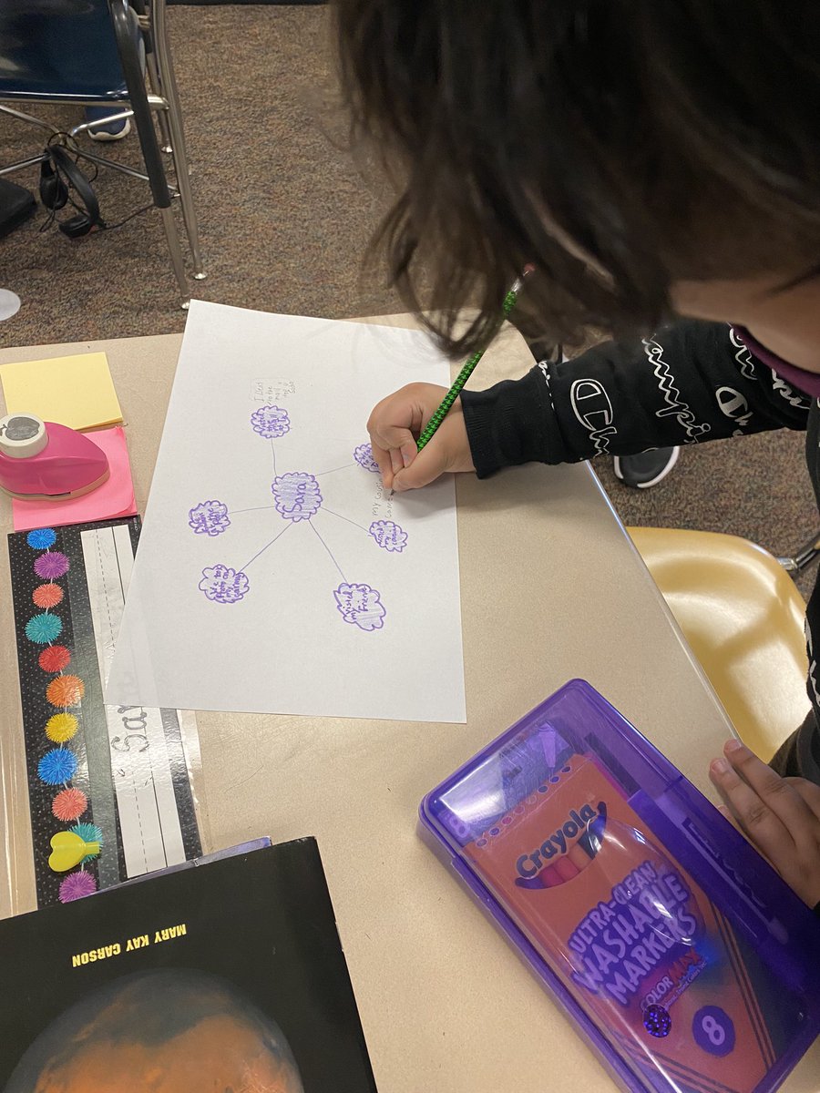 Sarah Salemi tweet media