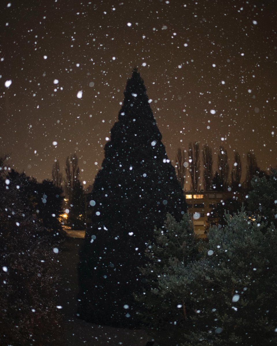 ghalebcabbabe's tweet photo. silent night https://t.co/iyVtEeucM3