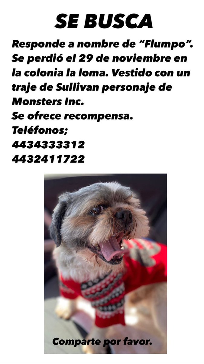 Antulio_Reyes's tweet photo. ¡Por favor compartir! 😣😖
MORELIA MICHOACÁN. https://t.co/GCHir6Atj5