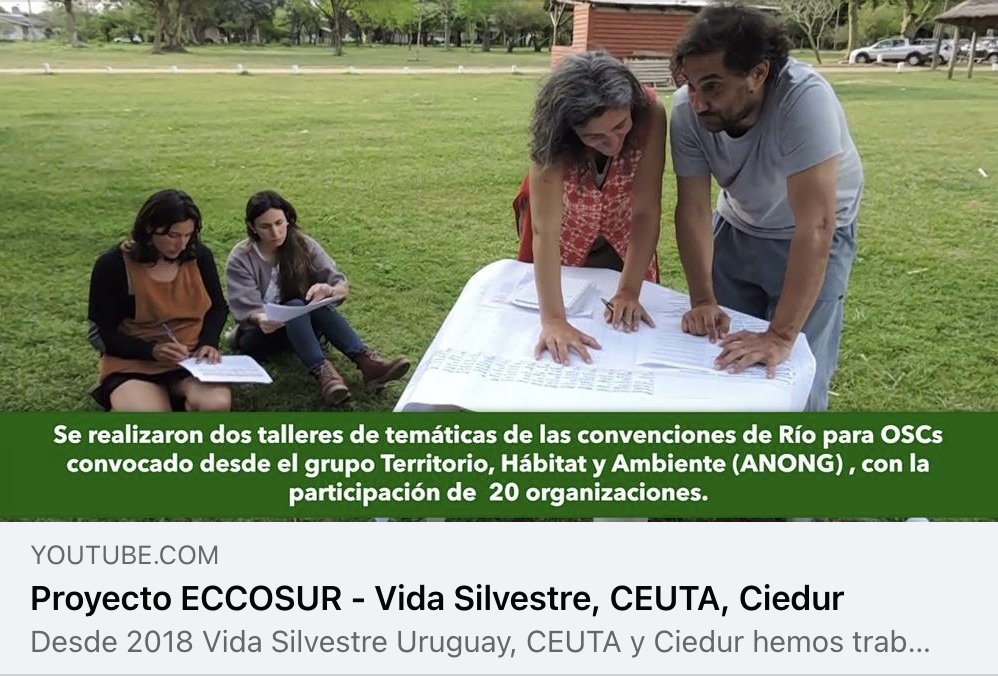 🌱☀️🌺 Desde 2018 junto a <a href="/VidasilvestreUy/">Vida Silvestre Uruguay</a> y <a href="/CEUTAUy/">CEUTA</a> trabajamos en el marco del Proyecto #ECCOSUR para contribuir al desarrollo sostenible en sintonía con las #ConvencionesDeRío

Resumen de las actividades desarrolladas
👉 bit.ly/3I7JI2f

#CambioClimático #Biodiversidad