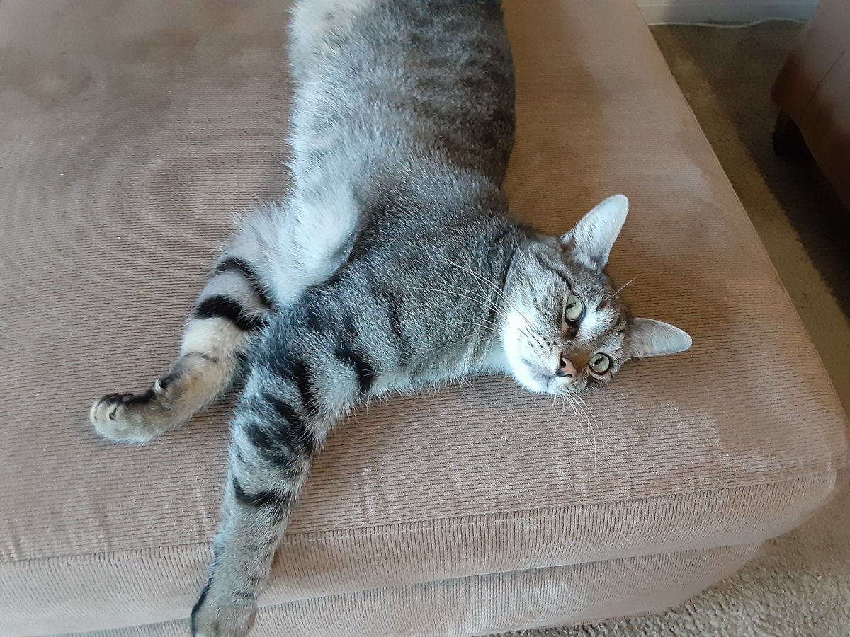 Bill Enlow tweet media