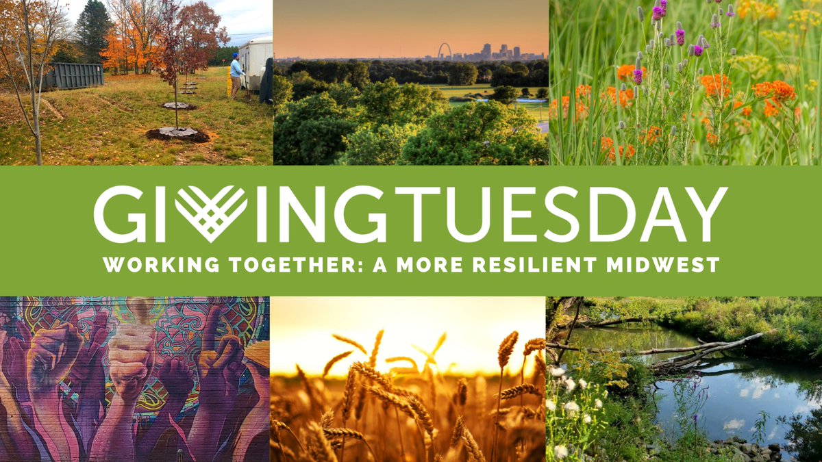 DeltaGreatLakes's tweet photo. Make a BIG impact by having your gift doubled this #GivingTuesday! Our Board is matching all contributions up to $20,000. Your donation supports key programs: Resilient Agriculture, Nature-Based Climate Solutions, and Sustainability &amp; Support Services 
https://t.co/VYcp7MtYCN https://t.co/j23rZVPVp7