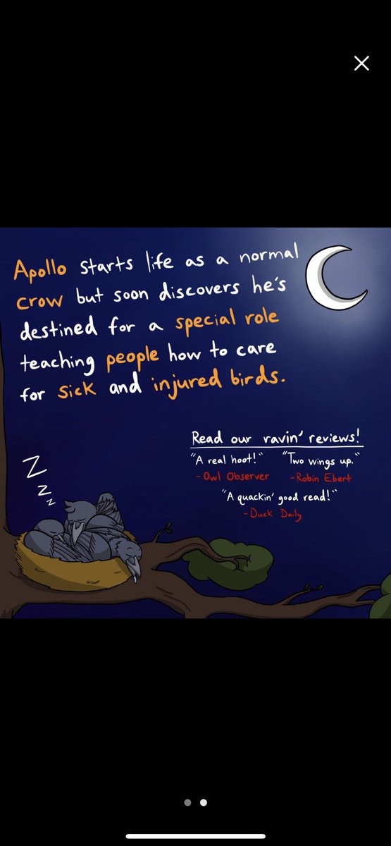 DivaCrows's tweet photo. Surprise: Apollo wrote a book! You can grab a copy from our Etsy or BookBaby (both links in bio) for your kids, loved ones, or fellow bird enthusiasts just in time for Christmas. As always, proceeds go directly to caring for injured and orphaned songbirds 🐦 https://t.co/0xDgueoiKZ