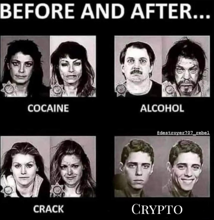 crypdonald's tweet image. 