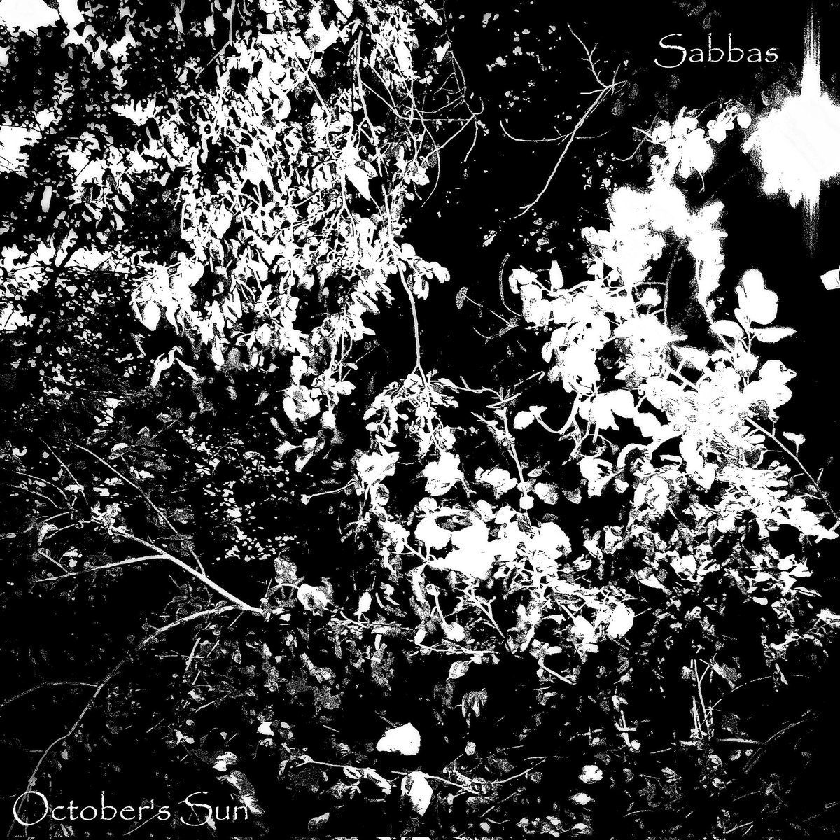 SabbasMusic's tweet photo. Debuting Sabbas #originalmusic "October's Sun" releases tomorrow #November30th #Fall2021 @Bandcamp https://t.co/5PTZQHUShQ

#BlackMetal #DarkAmbient #BlackAmbient #experimental #atmospheric https://t.co/x7KWNlMDzh