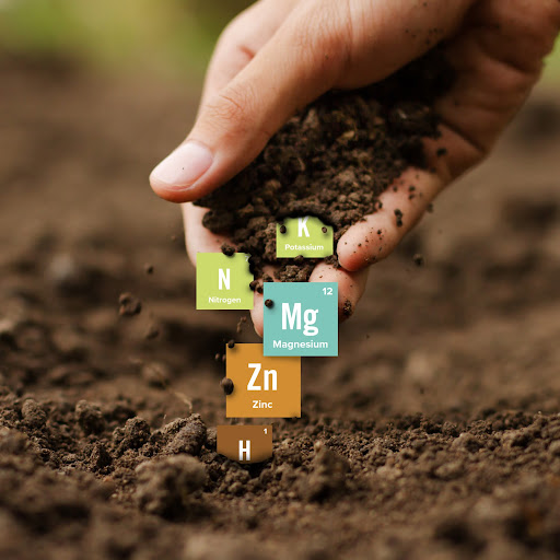 Crop_Nutrition's tweet photo. Soil health is important for yield and productivity, but it goes far beyond that — good soil health benefits nutritious food, sustainably produced commodities, and helps protect the environment. You can read more about your soil’s health here: https://t.co/kHwgKD08W2 https://t.co/LIU6NnzCll