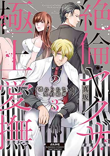 新刊 ／ 外見も中身もパーフェクトすぎるヤクザが周囲の運命を甘く刺激