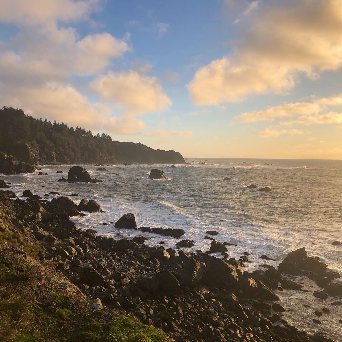 JohnzoWest's tweet photo. 🌲🍄🌊🪨 #NorCal https://t.co/io1sltsqFg