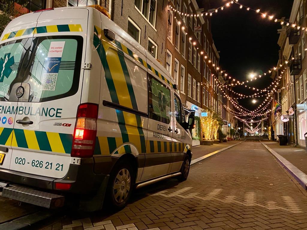 DierenAmsterdam's tweet photo. #nachtdienst #vrijwilligers #dierenambulance #Amsterdam #Runstraat #Jordaan https://t.co/t2gkh4hGXL