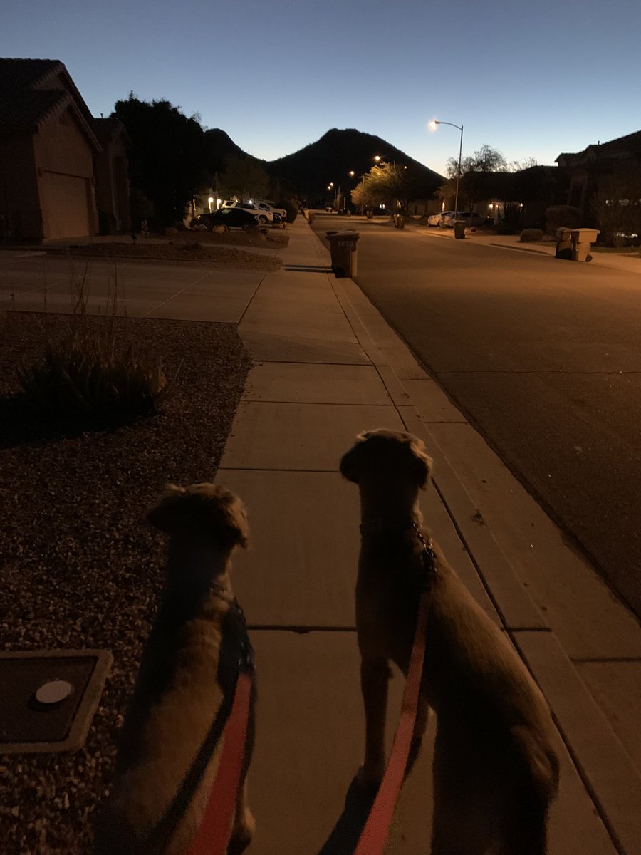 Cory Dugan (@corypdugan) on Twitter photo 