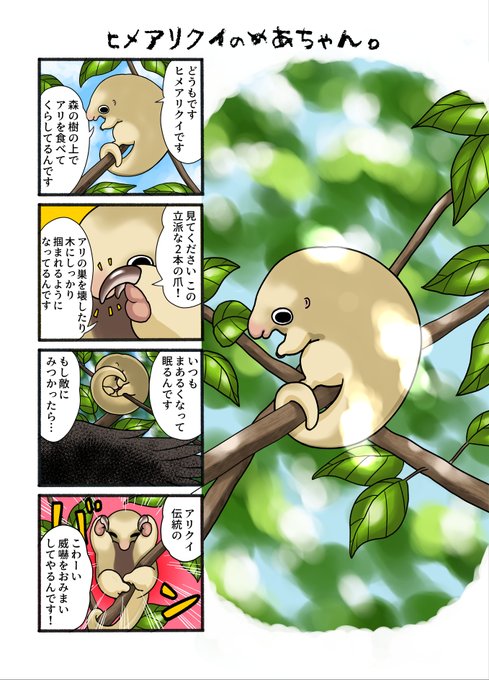 Twoucan ヒメアリクイ の注目ツイート イラスト マンガ