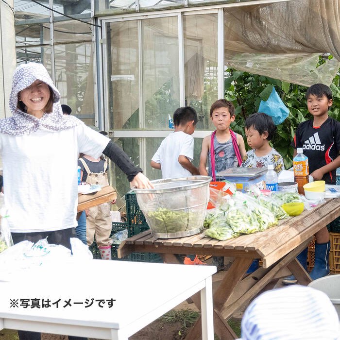 uzak1803's tweet photo. クラウドファンディング、本日が最終日です！
45年間、美味しい野菜を届け続けた #船橋農産物供給センター さんによる、生産者の顔が見える「農育教材」づくりへの挑戦。
リワードは、野菜セット🥕や農作業体験🌾など。この機会にぜひ応援お願いします！
https://t.co/4DbXtAbSn5 https://t.co/8LvFVheRQU
