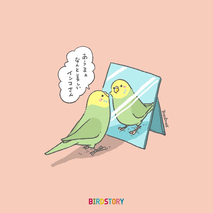 セキセイインコのtwitterイラスト検索結果 古い順