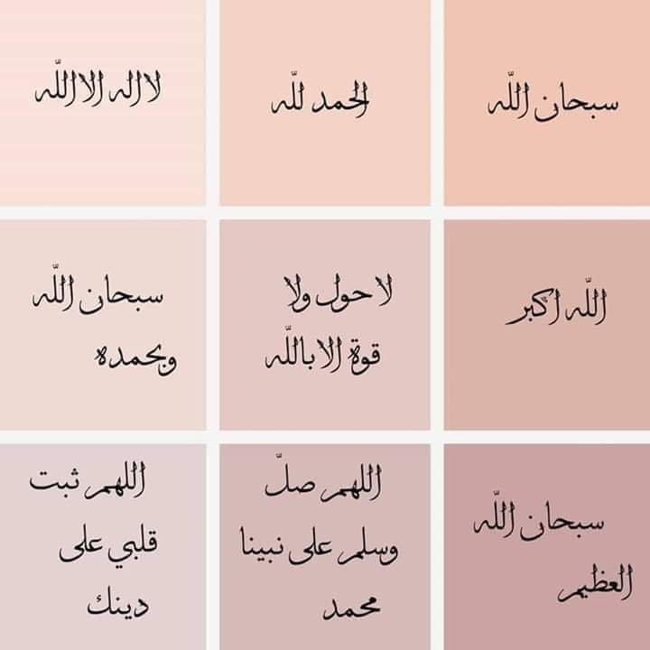 صباحكم 
قرآن كريم
وذكر حكيم