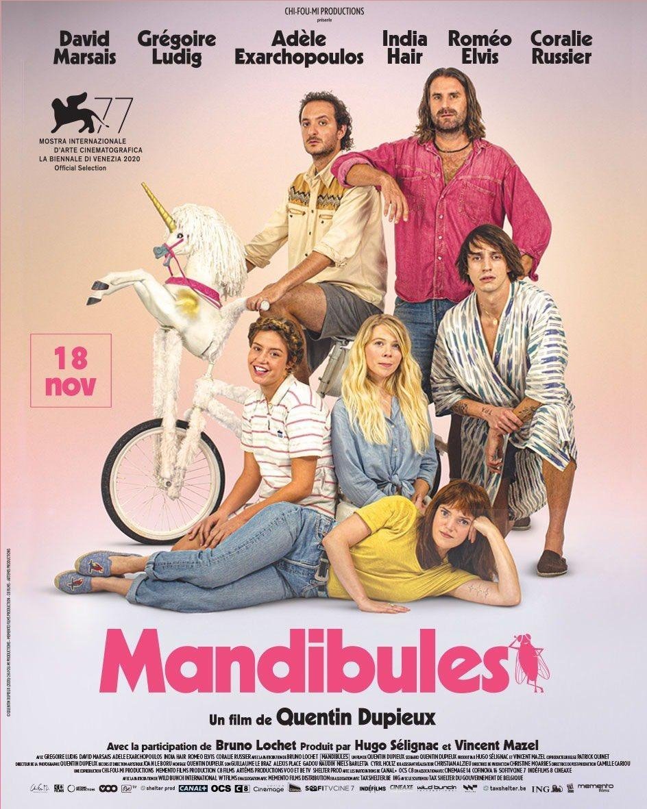 SergioMorci's tweet photo. Que grandiosa es #Mandibulas. Dupieux consigue transmitir buenas vibraciones al espectador en esta disparatada comedia con personalidad y buen gusto. Tiene unos personajes icónicos y una mosca a la que coges muchísimo cariño. El WTF que todos esperabamos. Gracias @karmafilms https://t.co/1L4iiVtZNx
