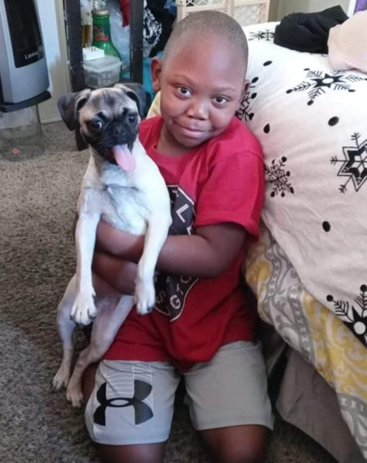 MsFelicia's tweet photo. They're both getting so big! โค
#ABoyAndHisDog #HiJordan #QueenKaza #adogslife #pugs #puglife https://t.co/jSnNLfinQW
